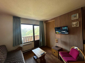 Appartement confort pour 4 pers, en bord de pistes avec balcon, animaux admis - FR-1-452-265